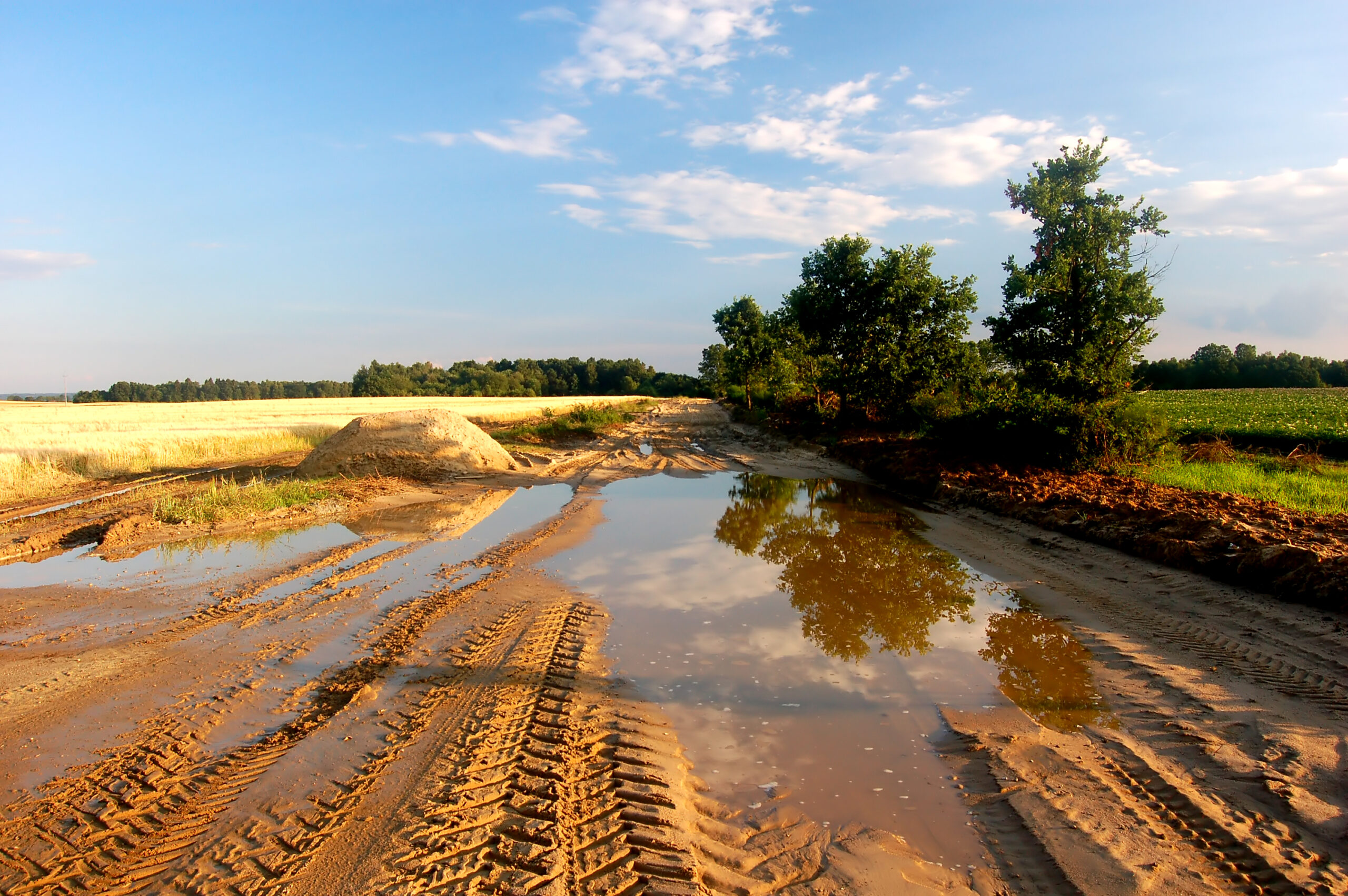 A muddy off-roading environment with puddles of water.